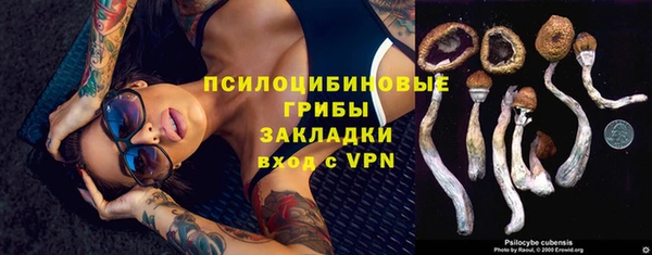 дурь Алексеевка