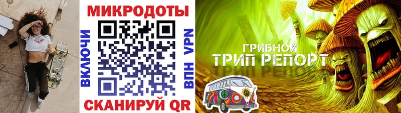 где можно купить   Севастополь  MEGA как зайти  Галлюциногенные грибы Cubensis 